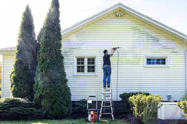 Best Graffiti Removal  in Huxley, IA